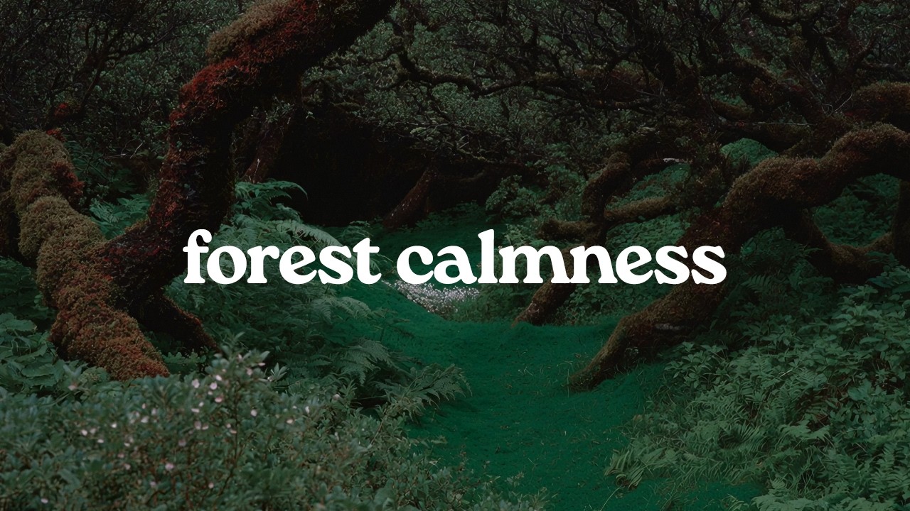 forest calmness by Creamy music