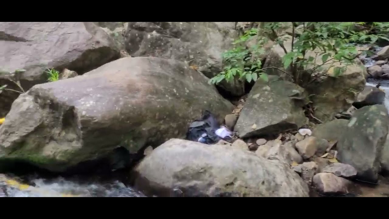 Palaruvi Waterfalls, Kerala