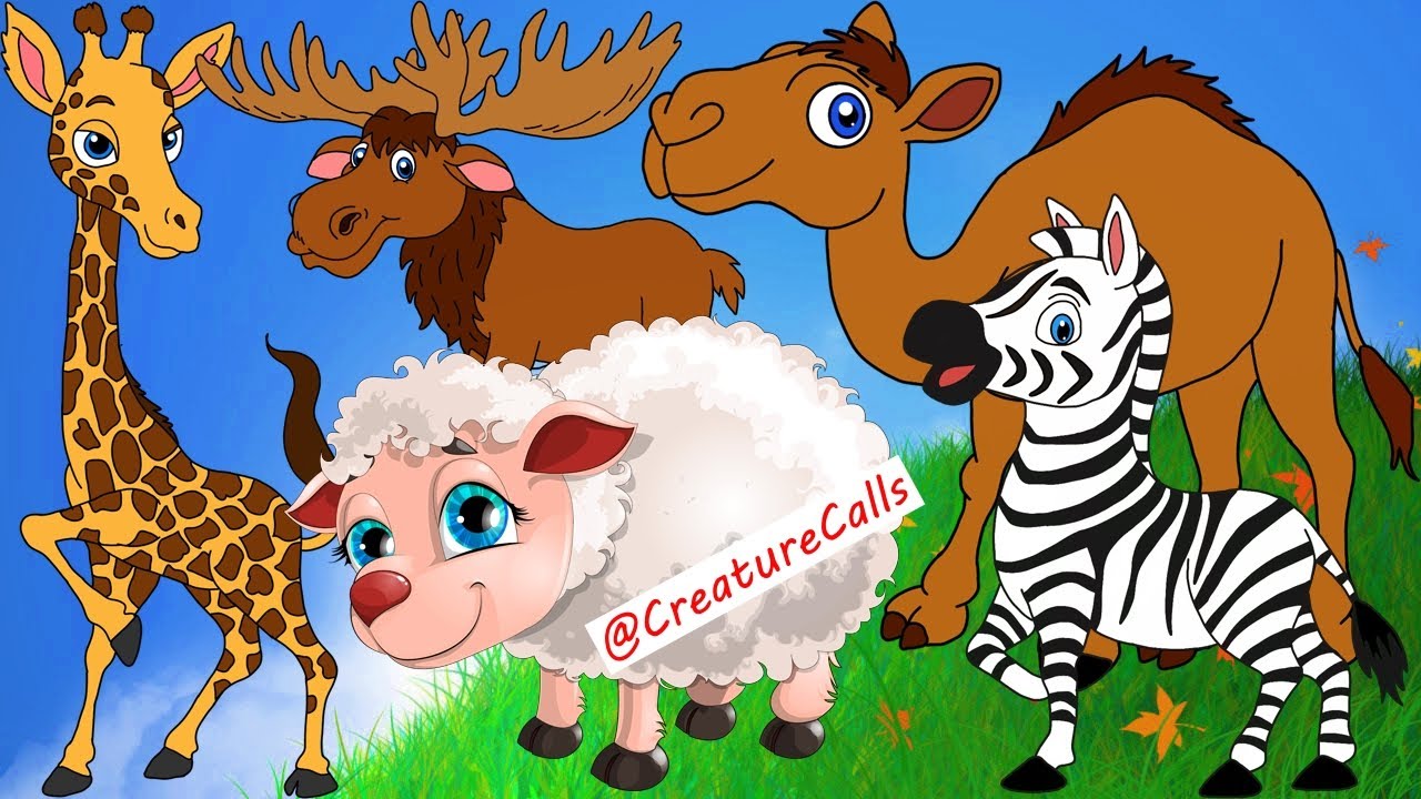 Animal Kingdom Oddities: Bizarre and Fascinating Creatures, artiodactyl animals, animal sounds