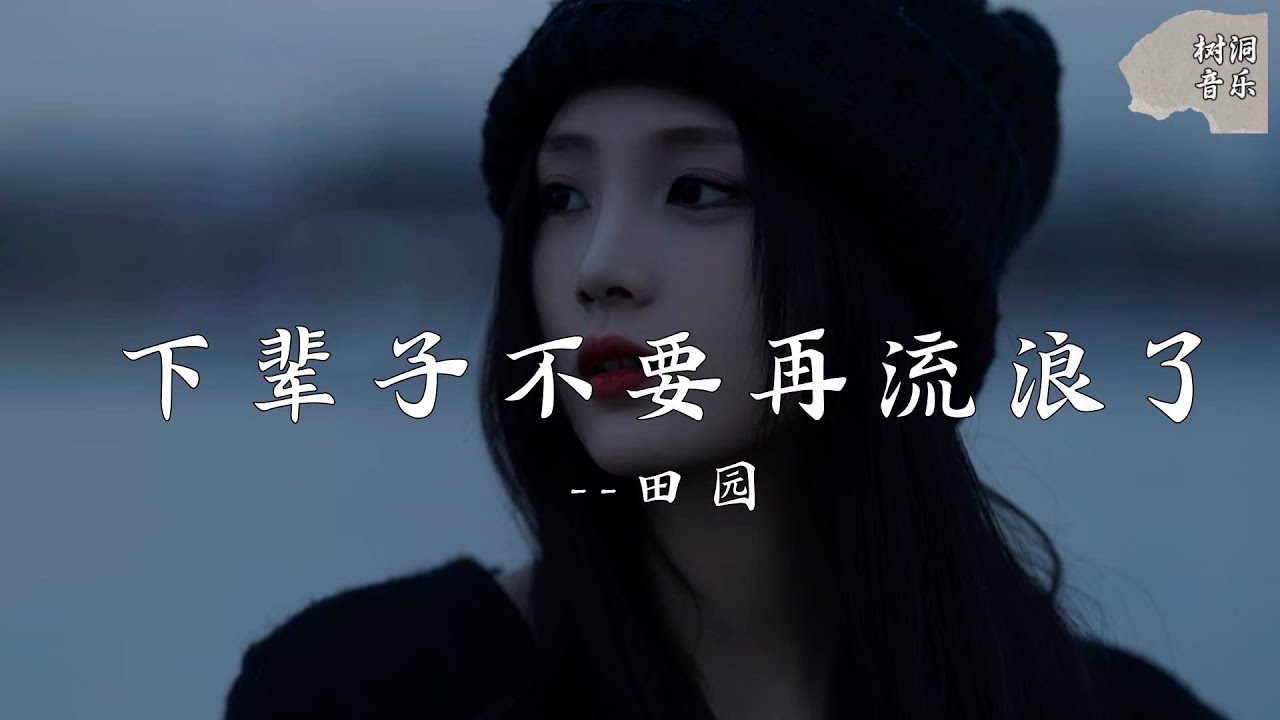 下辈子不要再流浪了 - 田园『愿你下一辈子不再流浪了.所有颠沛流离化作春泥』【动态歌词】#新歌更新 #音樂 #流行歌曲