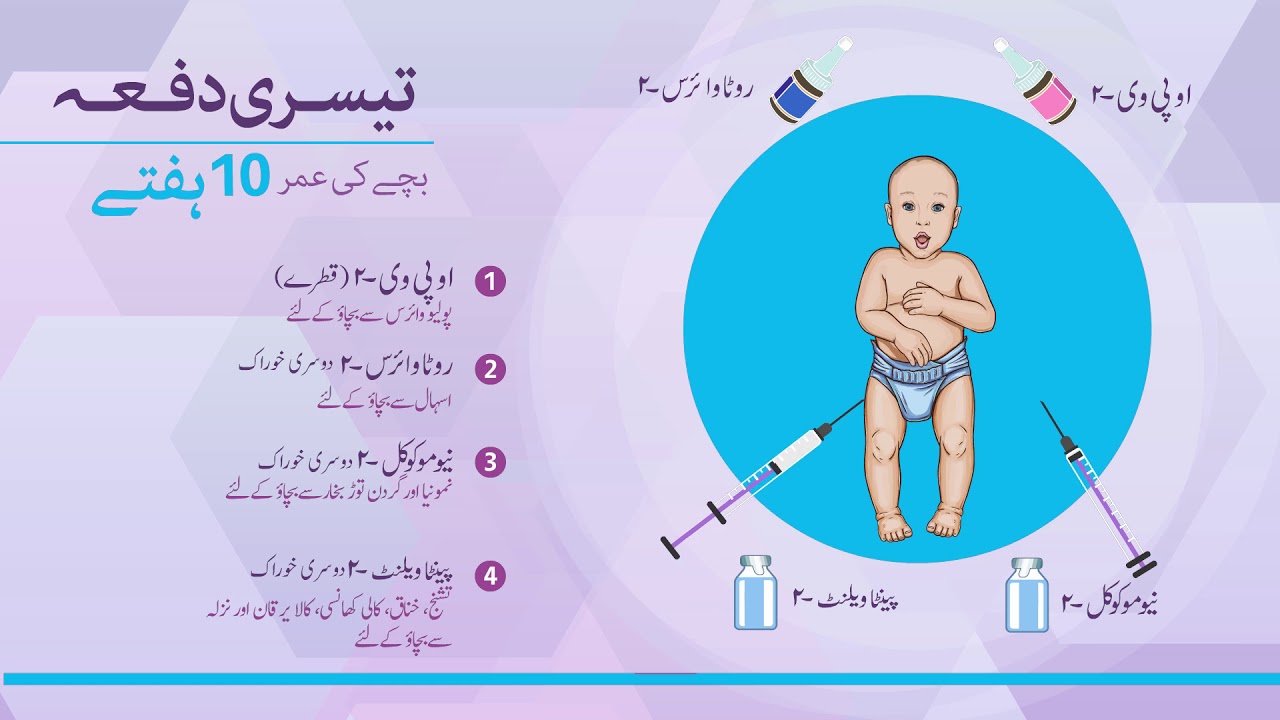 ای پی آئی شیڈیول