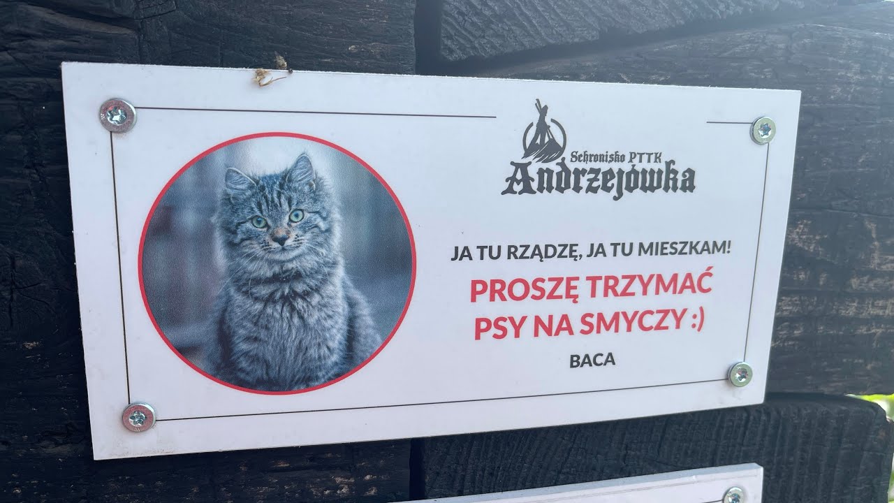 WALIG&Oacute;RA I G&Oacute;RY KAMIENNE - G&Oacute;RSKIE POTYCZKI WALEREGO SŁAWKA ODCINEK 21