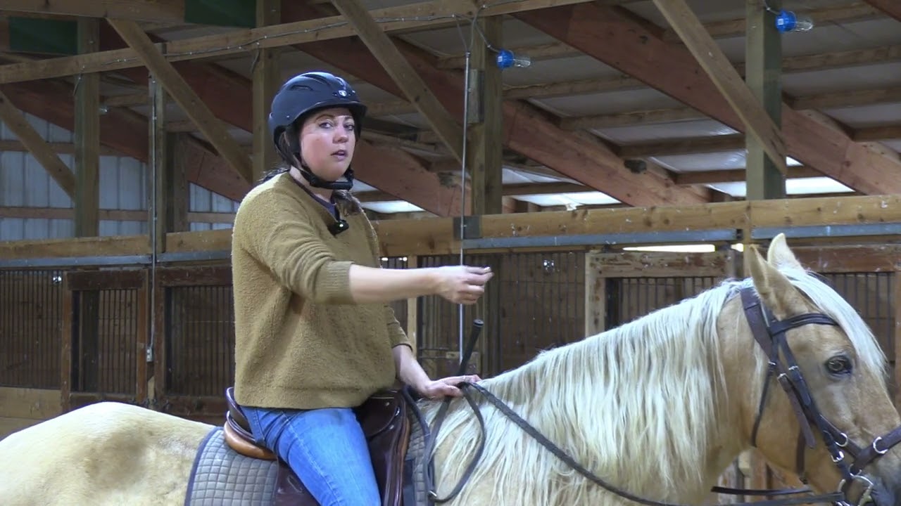 How To Adjust Your Stirrup While Mounted