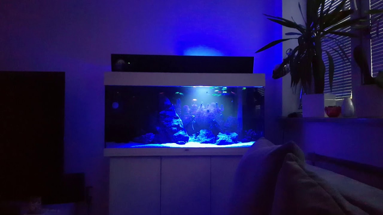 Test Aquael Leddy Tube 6W Actinic -Oświetlenie Nocne