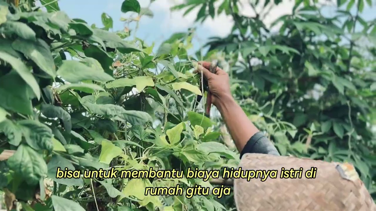 Testimoni WBP Penerima Premi Ketahanan Pangan