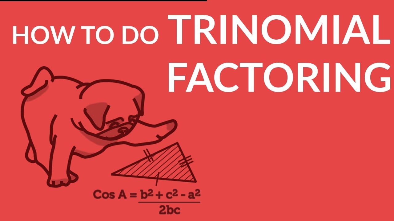 ʕ•ᴥ•ʔ Learn Trinomial Factoring with an Easy to Understand Example