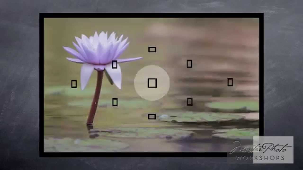 Beginner Photography Tips - Simplify Backgrounds
