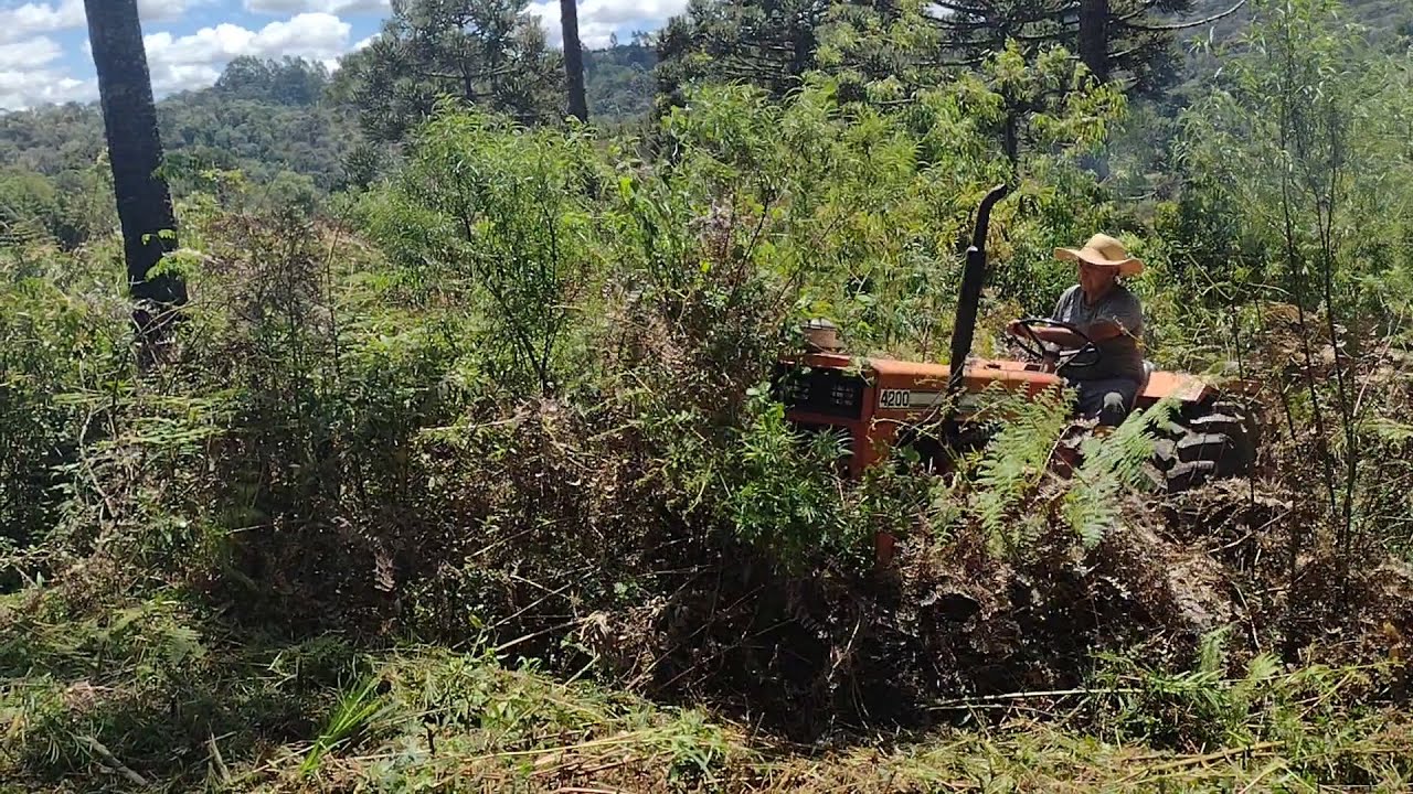 Agrale 4200 Ro&ccedil;ando mato de 2m de altura