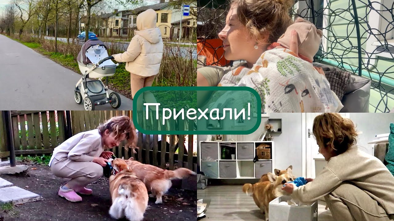 ЗАБРАЛИ КОЛОБКОВ ДОМОЙ😄 НЕ ПРИЗНАЮТ ! упала с лестницы 🤨 VLOG
