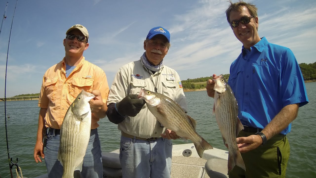 Catch Hybrid Striped Bass (how to, cleaning, and fun)