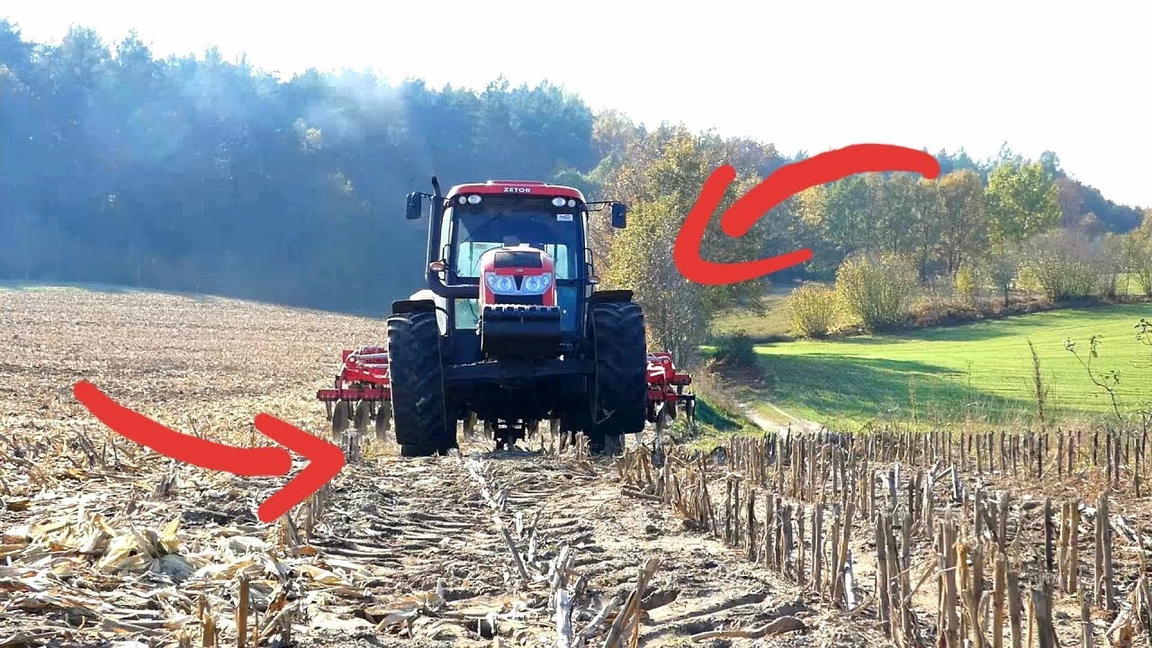 Ogień z rury zetor do góry!!!Talerzowanie po kukurydzy 2019!!!Zetor/Grano system