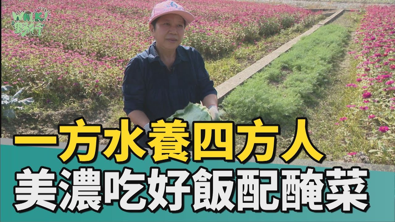 Walk野行│一方水養四方人