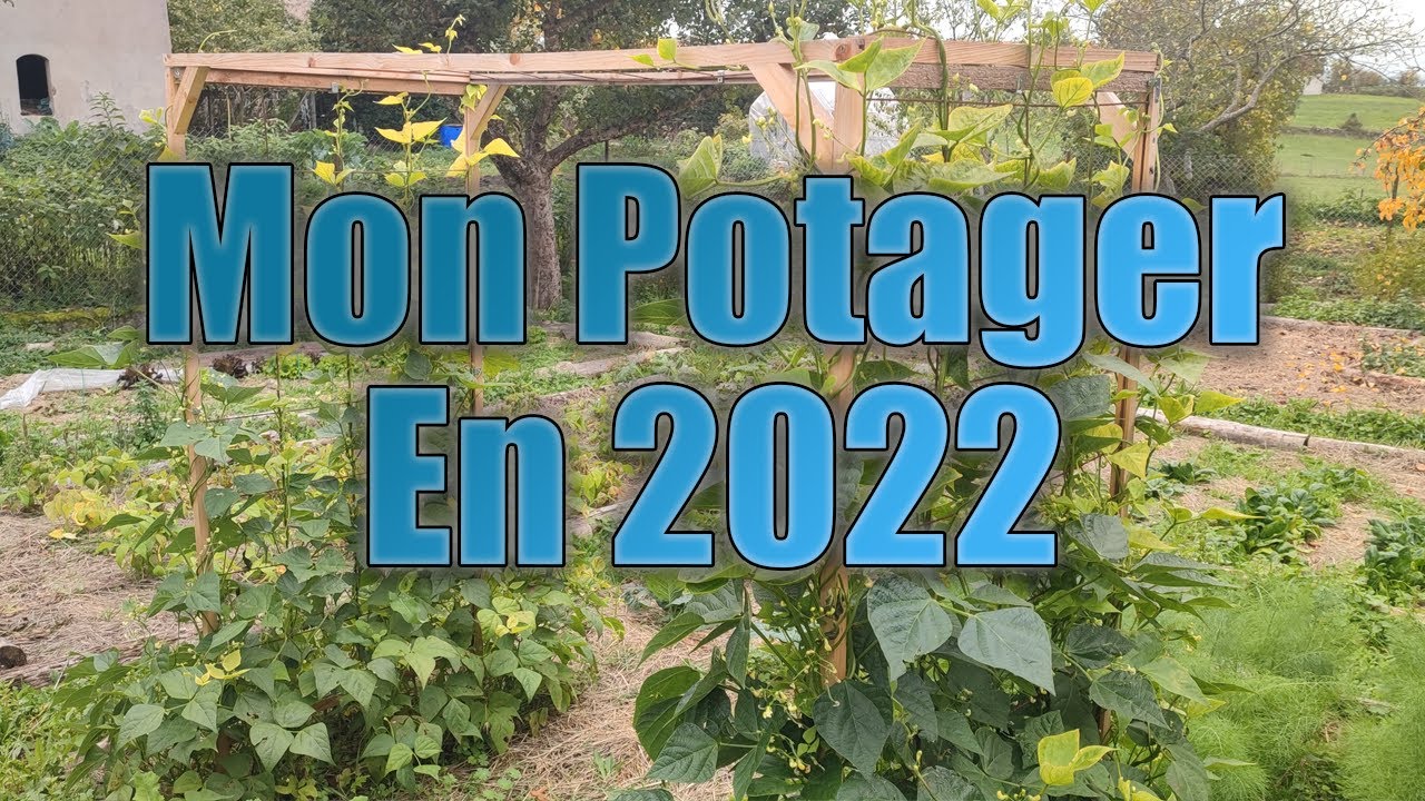 Mon potager cette ann&eacute;e : Ce qui a march&eacute; et ce qui a &eacute;chou&eacute;