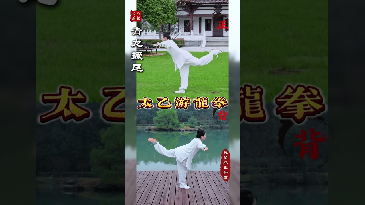 Intangible Cultural Heritage Inheritance Complete Front and back Practice of Taiyi Youlong