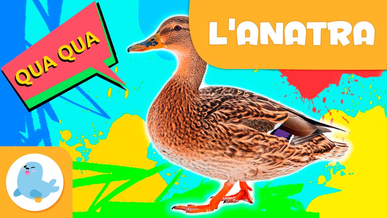 L'ANATRA 🦆 Animali per bambini 🏞️ Episodio 13