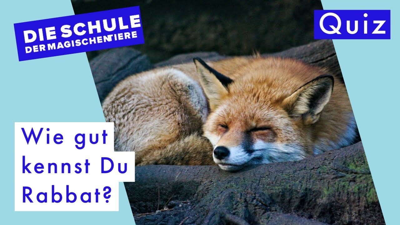 Die Schule der magischen Tiere. Rabbat-Quiz.