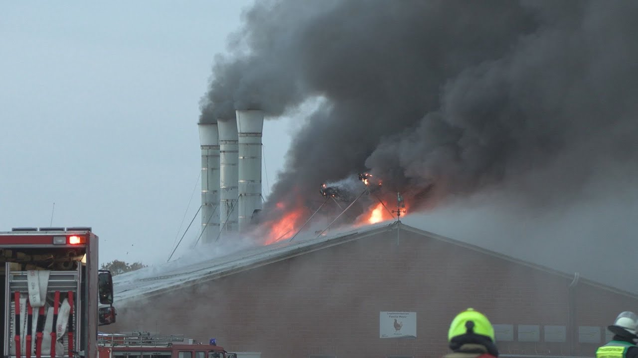 Wardenburg: Großer Geflügelstall geht in Flammen auf - Tausende Legehennen sterben in den Flammen