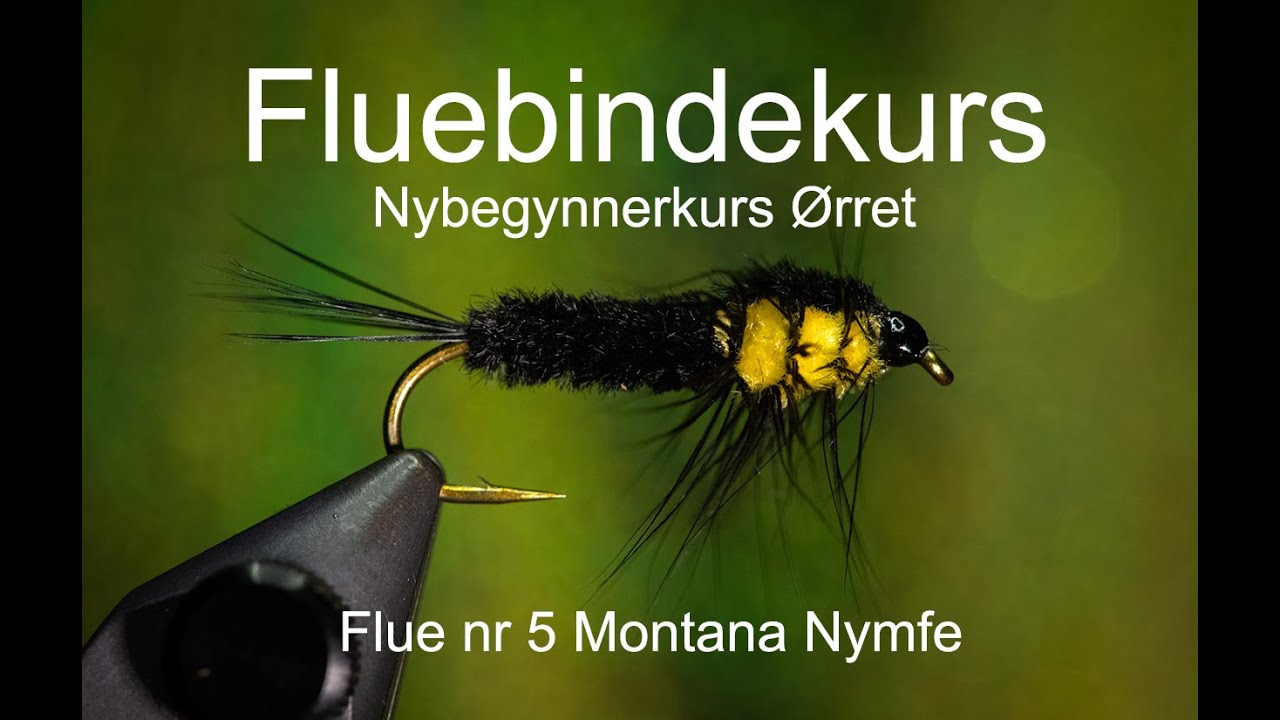 Fluebindekurs del 5. Montana Nymfe.