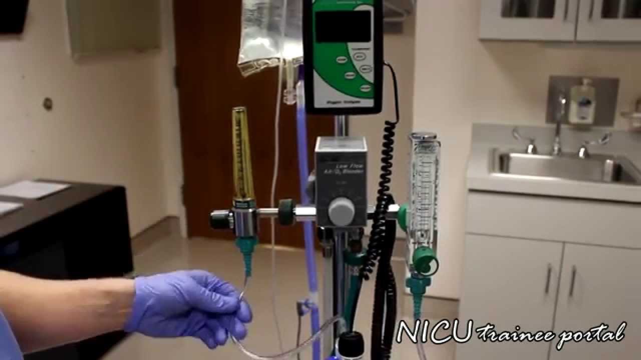 NICU Procedures- High Flow Nasal Cannula