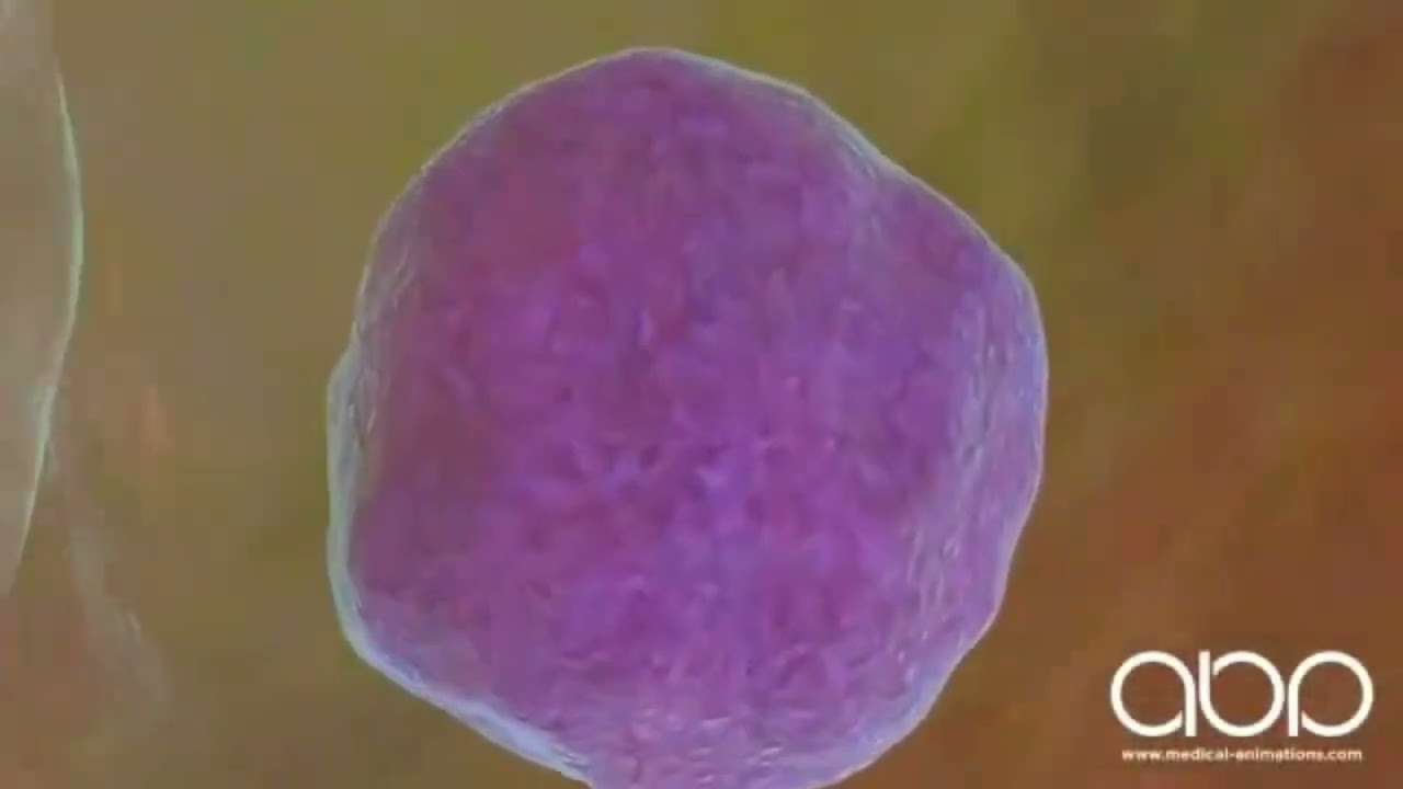 Chromosomes and Genetic disorder 