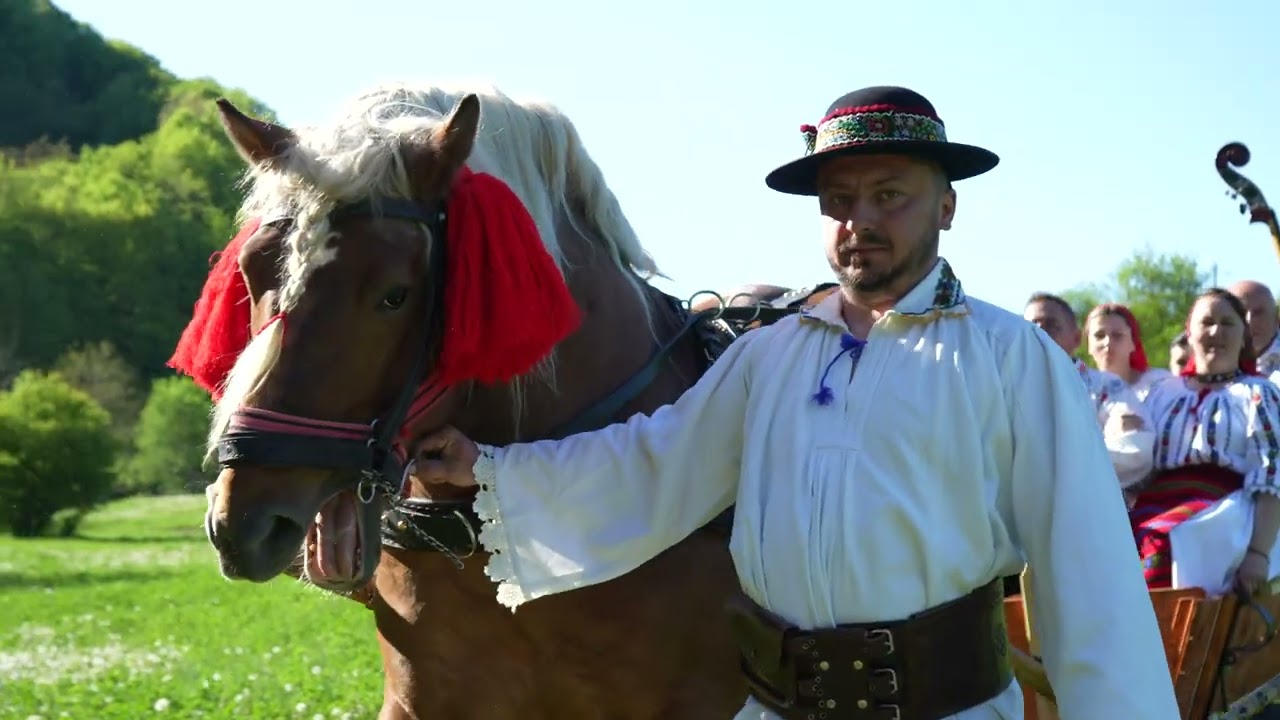 Dumitru Sarmas Invârte-te mândruliță