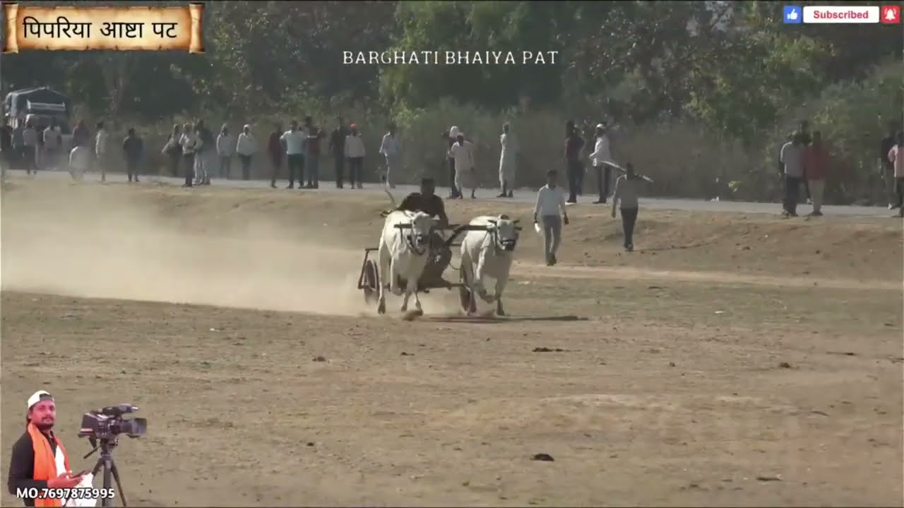 दूसरा कपल 💐 दूसरा दिन  ❤️ पिपरिया आष्टा पट All Video 💐 Ox Race 😍 Pat Pratiyogita Video 💐 Barghati