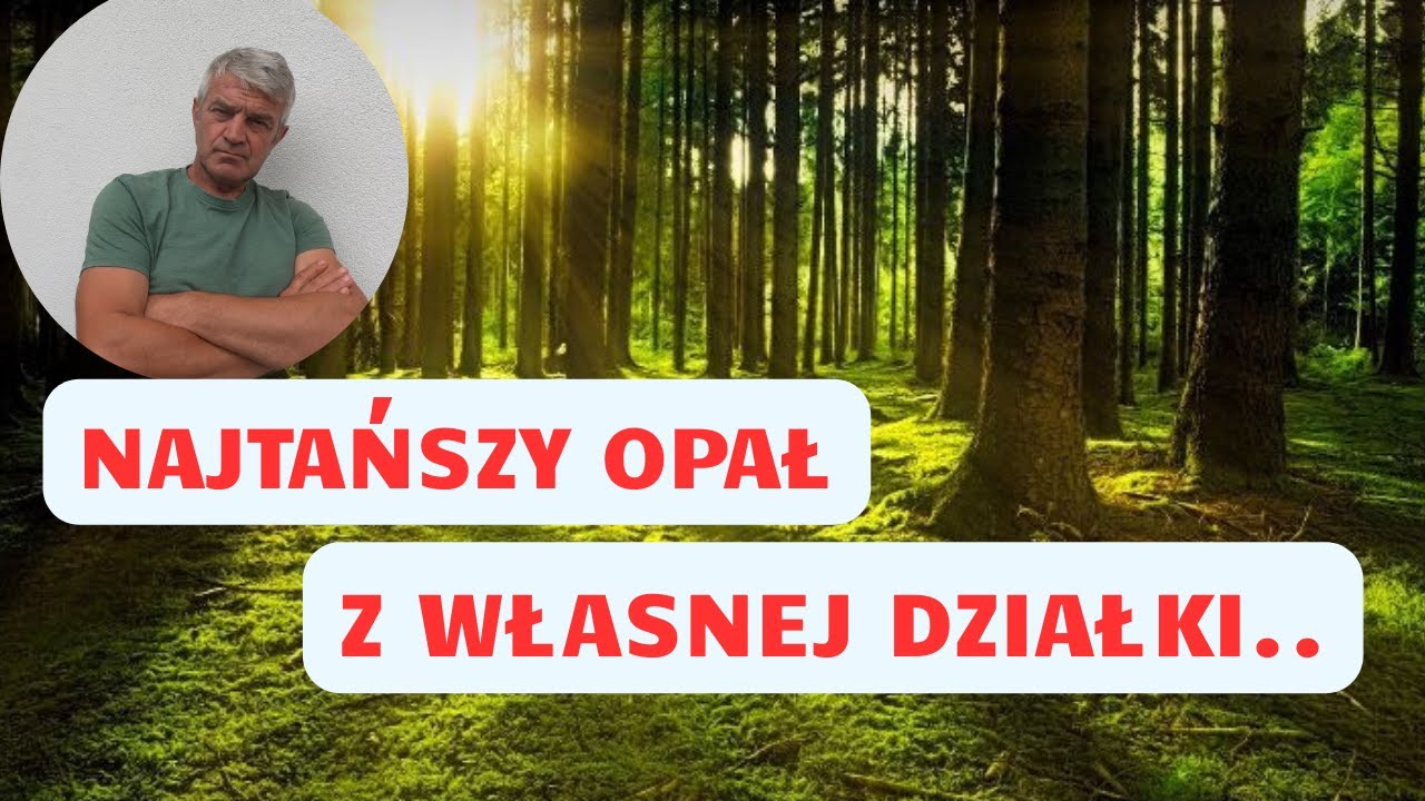 Wycinka drzew na własnej działce, czyli co i jak...
