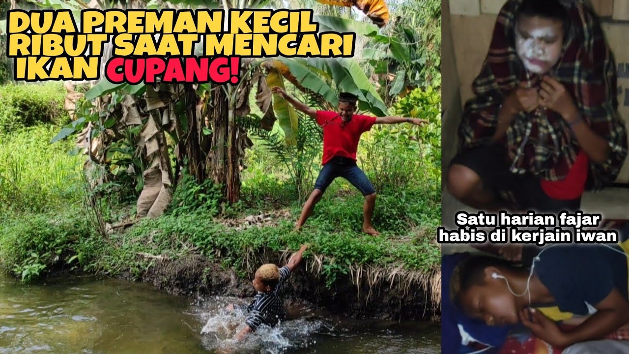 Preman kecil ribut saat mencari ikan cupang || Salah satu preman kecil habis dikerjain!