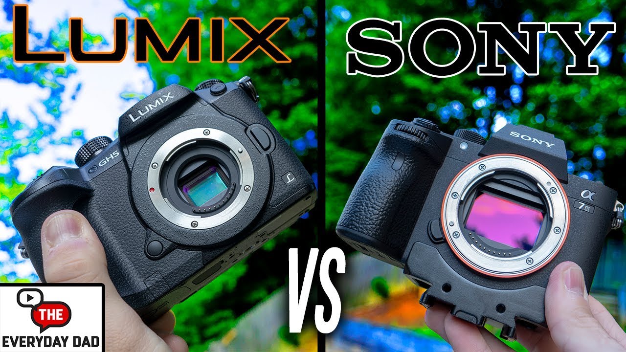 Камера Panasonic GH5 против Sony A7III. КОРОЛЕВСКАЯ БИТВА!