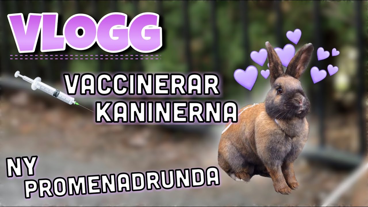 Vlogg~ Vaccinerar Theo & Ines