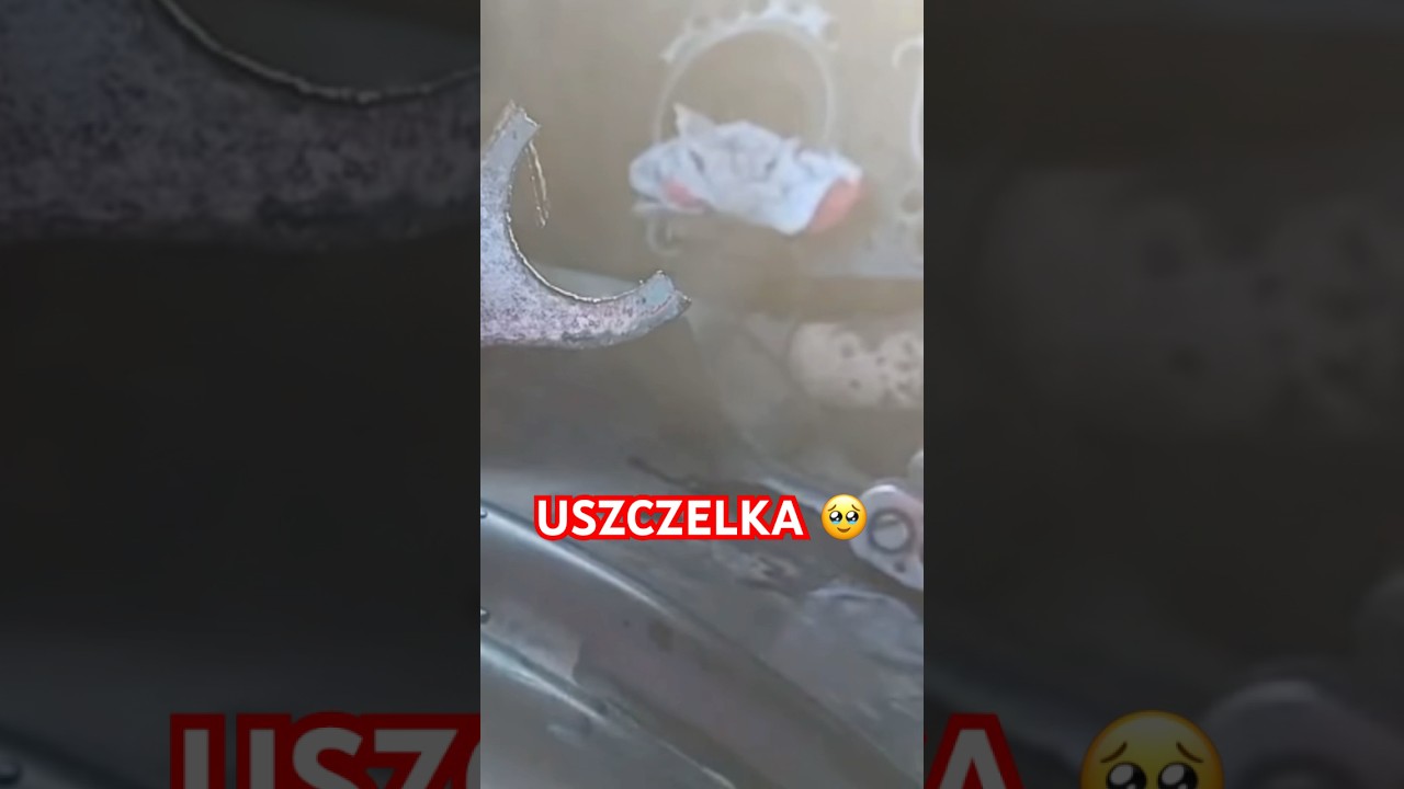 USZCZELKA 😮😮😮 #graoplon #shorst #funnymoments #mechanic