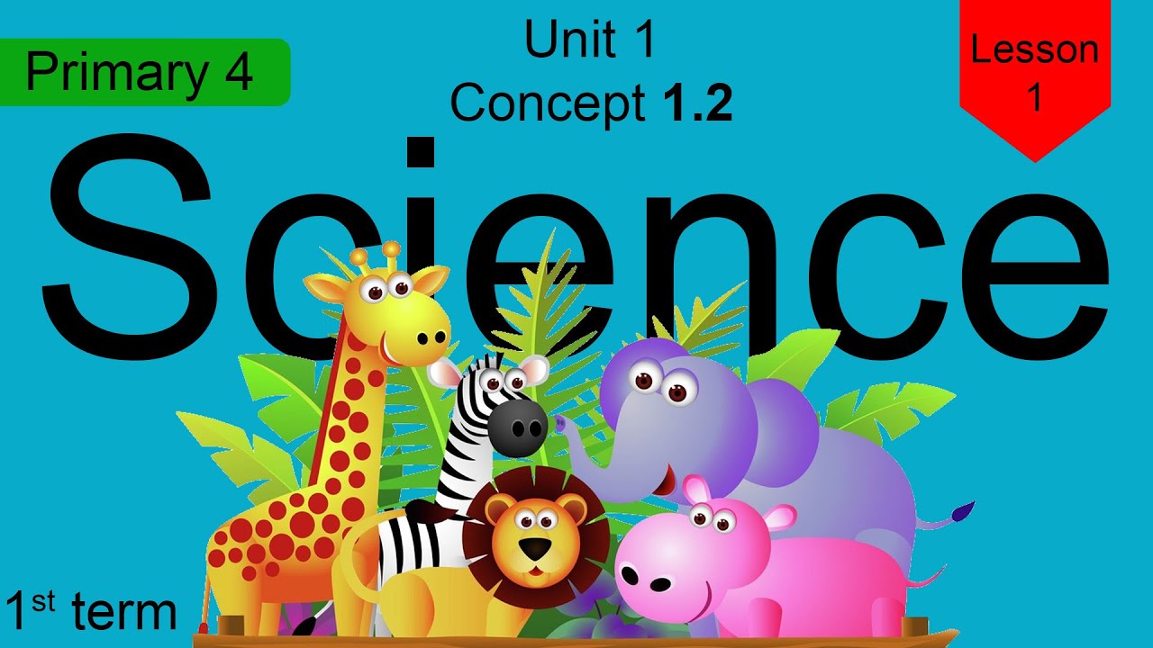 Science grade 4 first term concept 1.2 unit 1 lesson 1