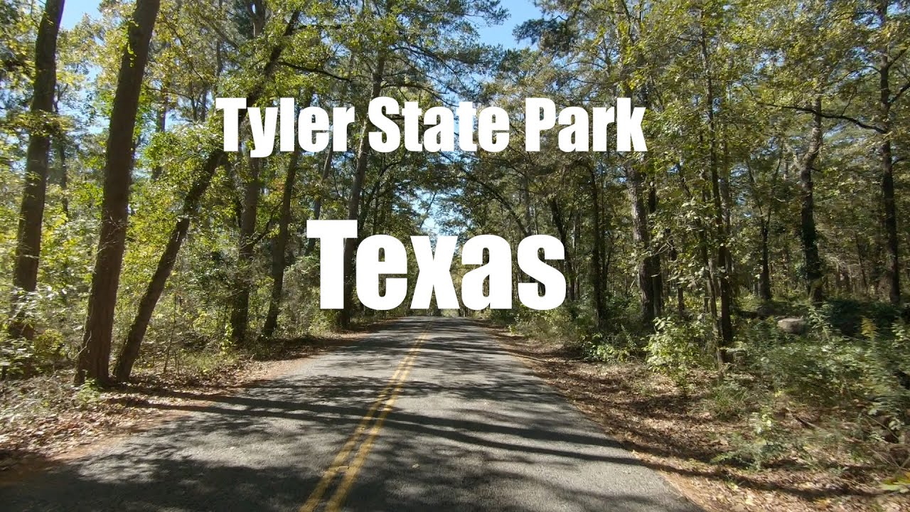 TYLER STATE PARK 2020/ SCENIC DRIVE-THRU ALL CAMPING AREAS
