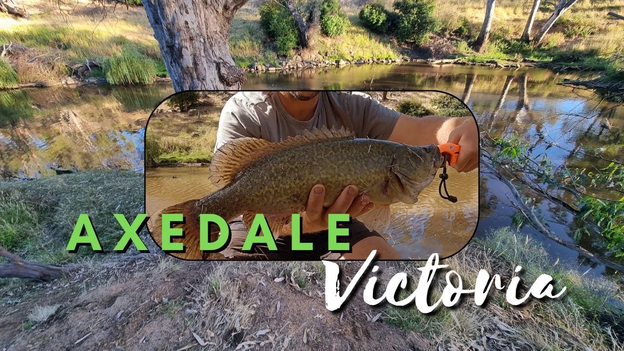 Murray Cod Bait Fishing - Axedale Victoria - Campaspe River