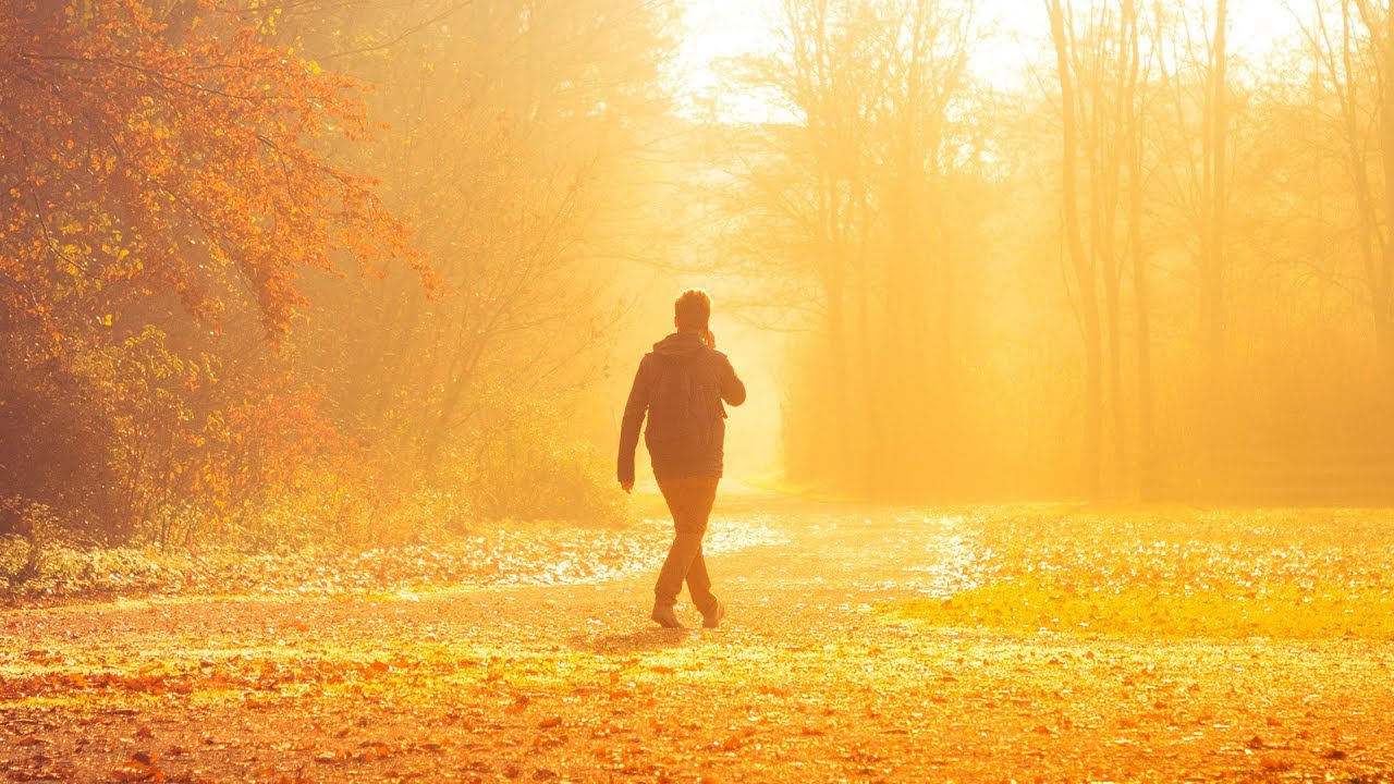 Jay FM - Connected [Silk Music]