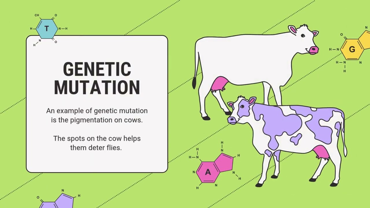 Plegamiento de Proteinas