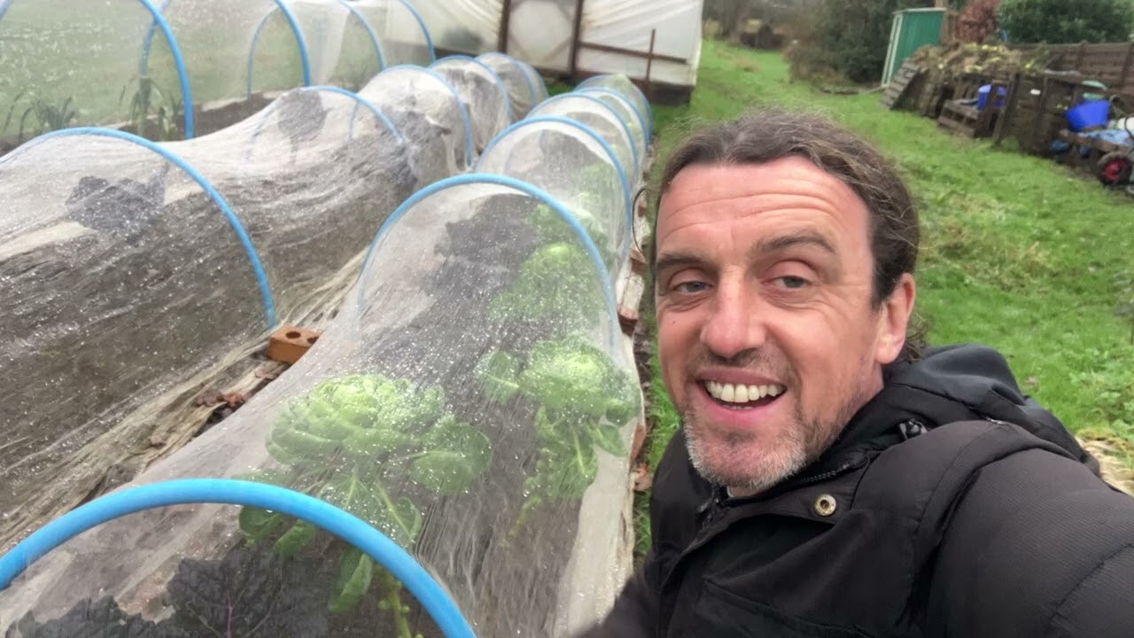 Market Garden Quick Update Tour December 2025