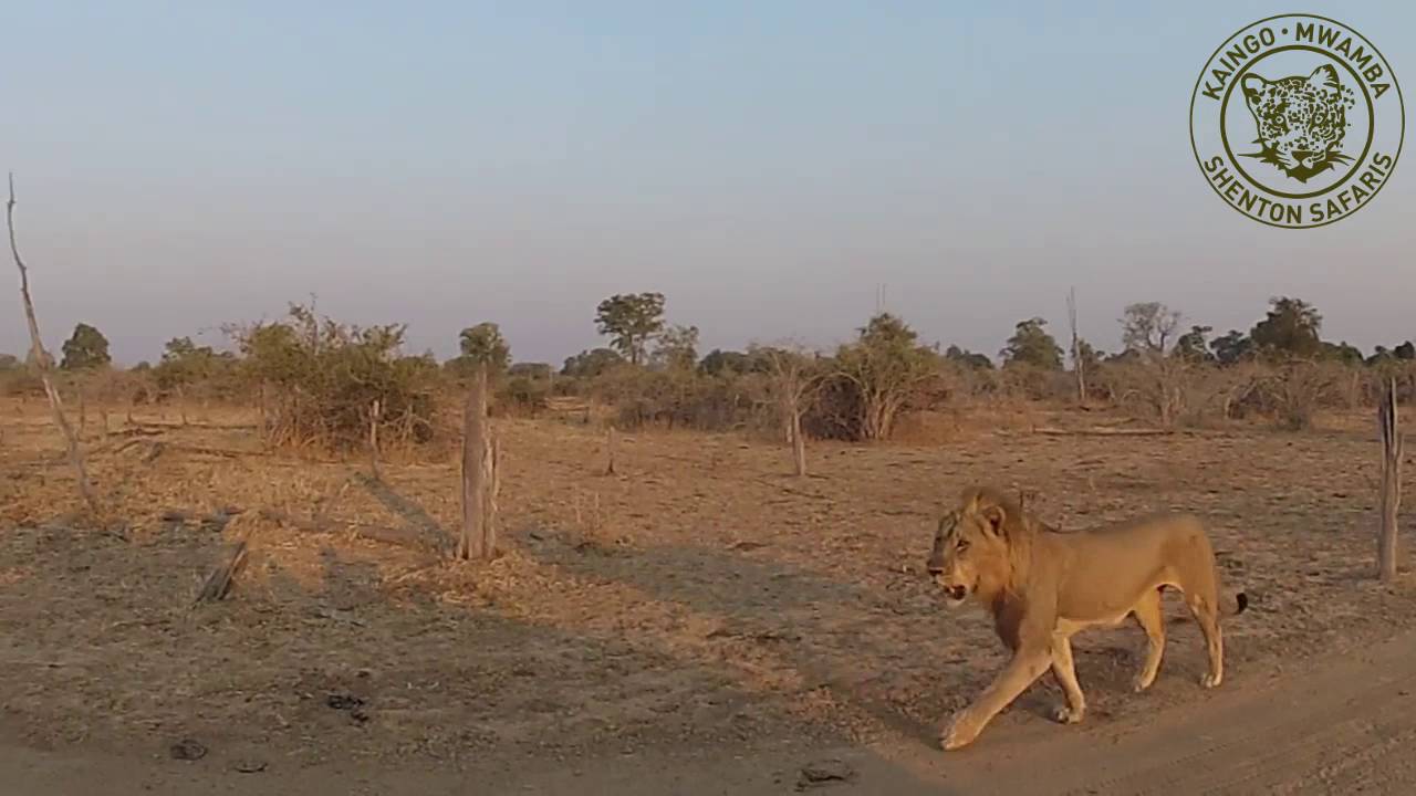 Territorial Dispute