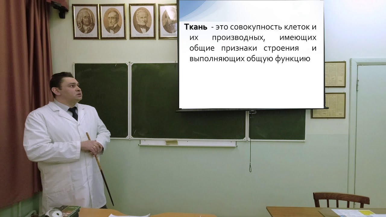 Введение в учение о тканях.Эпителиальные ткани. Железы