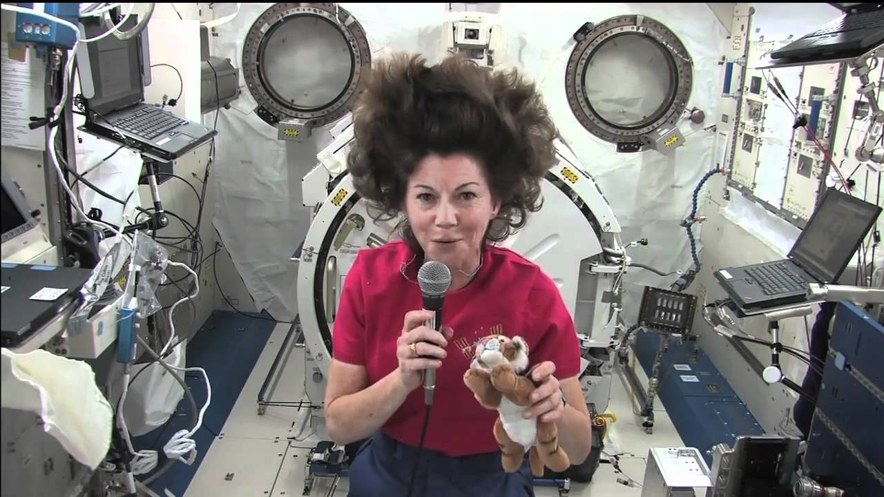 Waking up, working, and going to sleep in Zero G