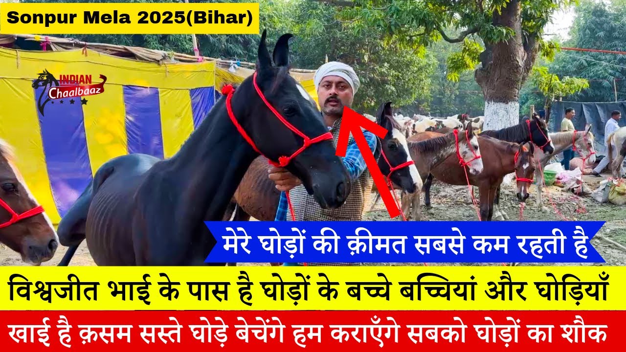 विश्वजीत भाई ने खाई है क़सम सस्ते घोड़े बेचेंगे हम कराएँगे सबको घोड़ों का शौक Sonpur Mela 2025