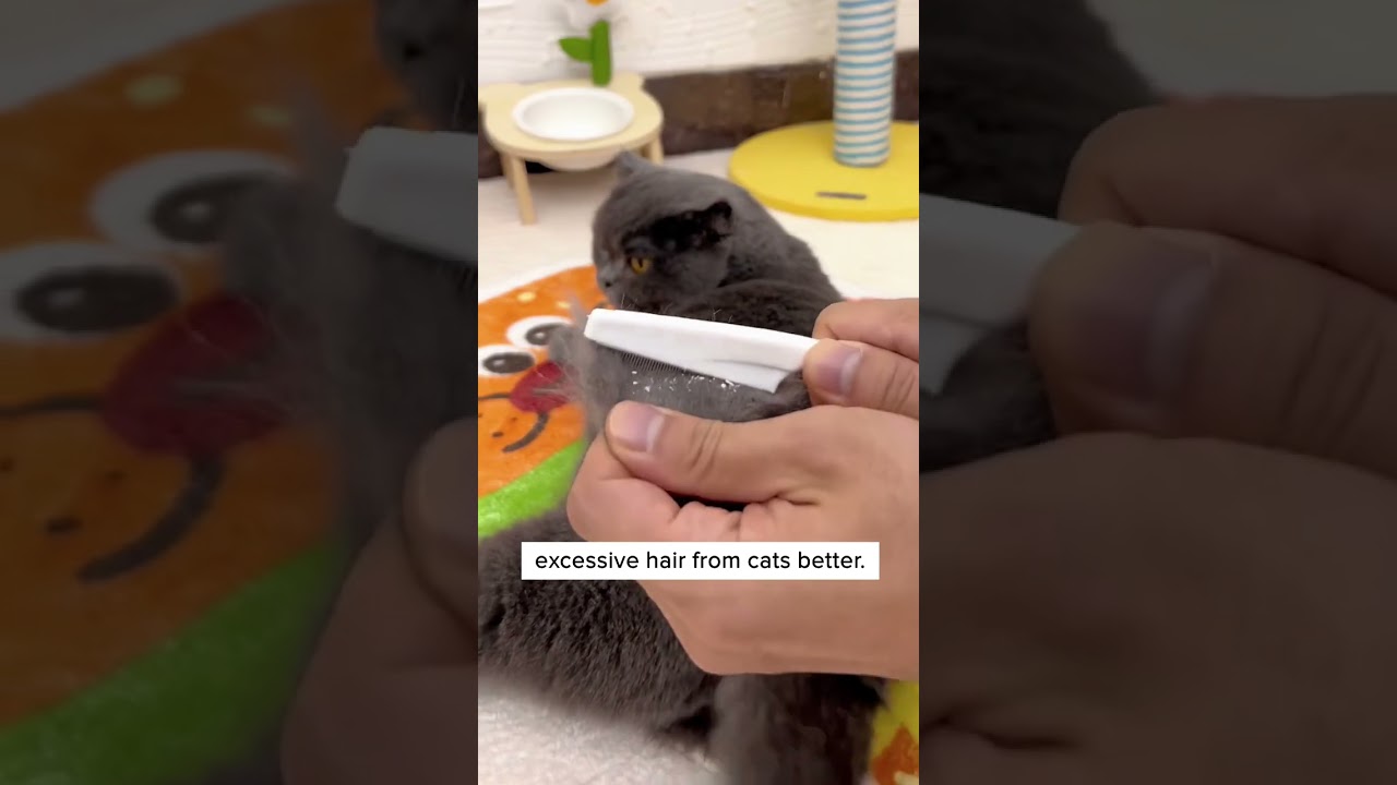 Вычесывает все неприятные ощущения 🤮