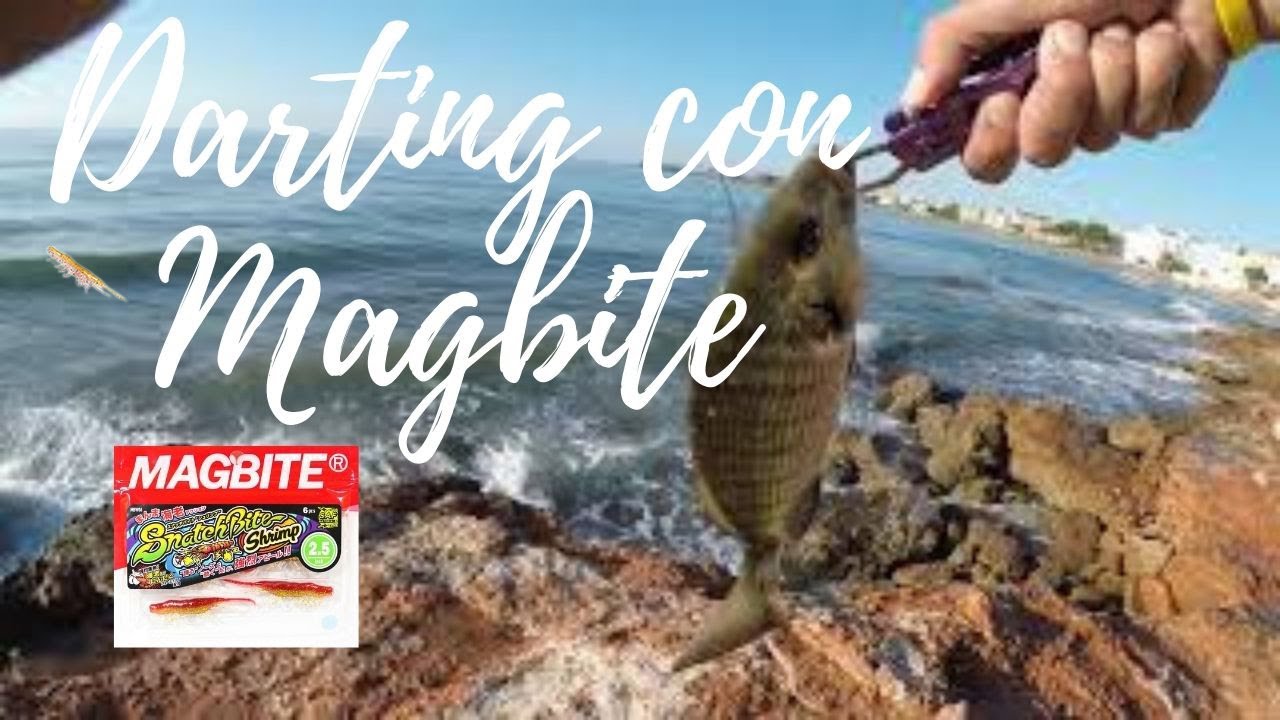 ROCKFISHING  MAGBITE SHRIMP 2.5