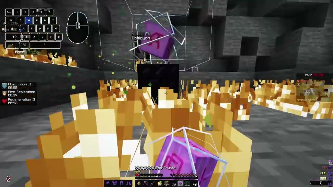 Cpvp Montage