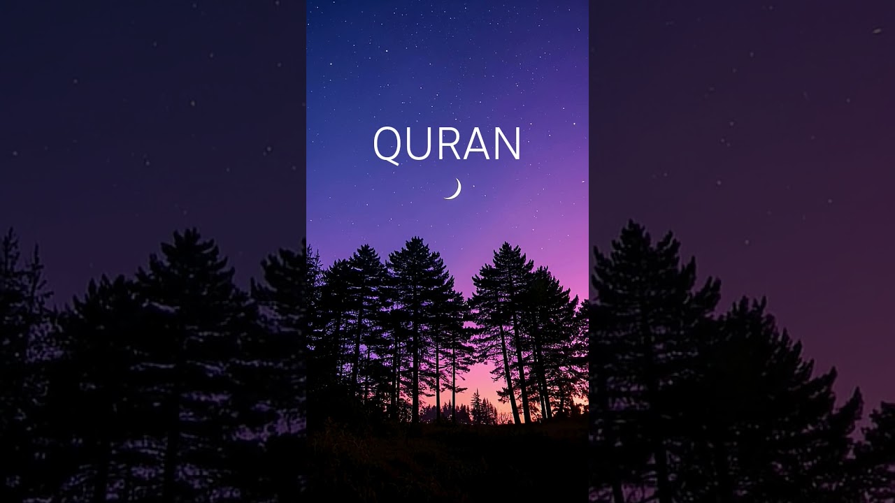 Surah taubah #quranforeever #languagetranslation #motivation #love #quranicblessings #urdulanguage