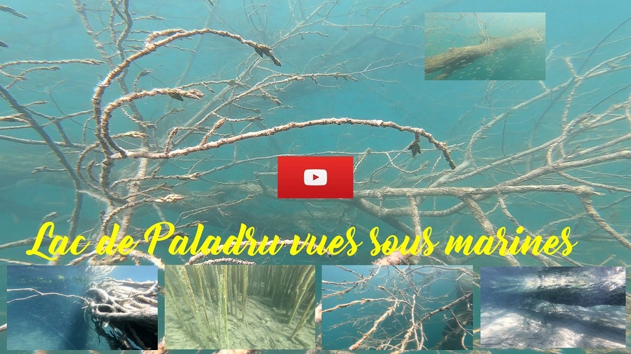 Vues sous marines dans le lac de Paladru