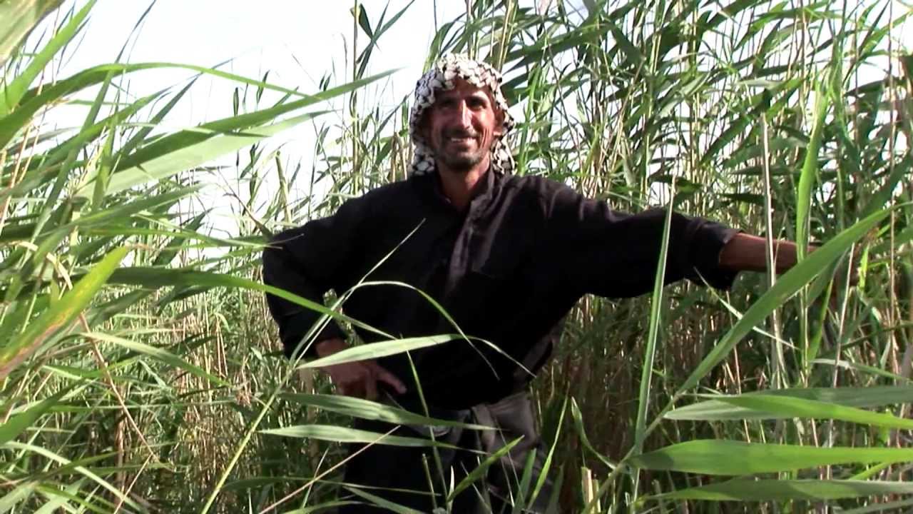 Marsh Arabs of Southern Iraq