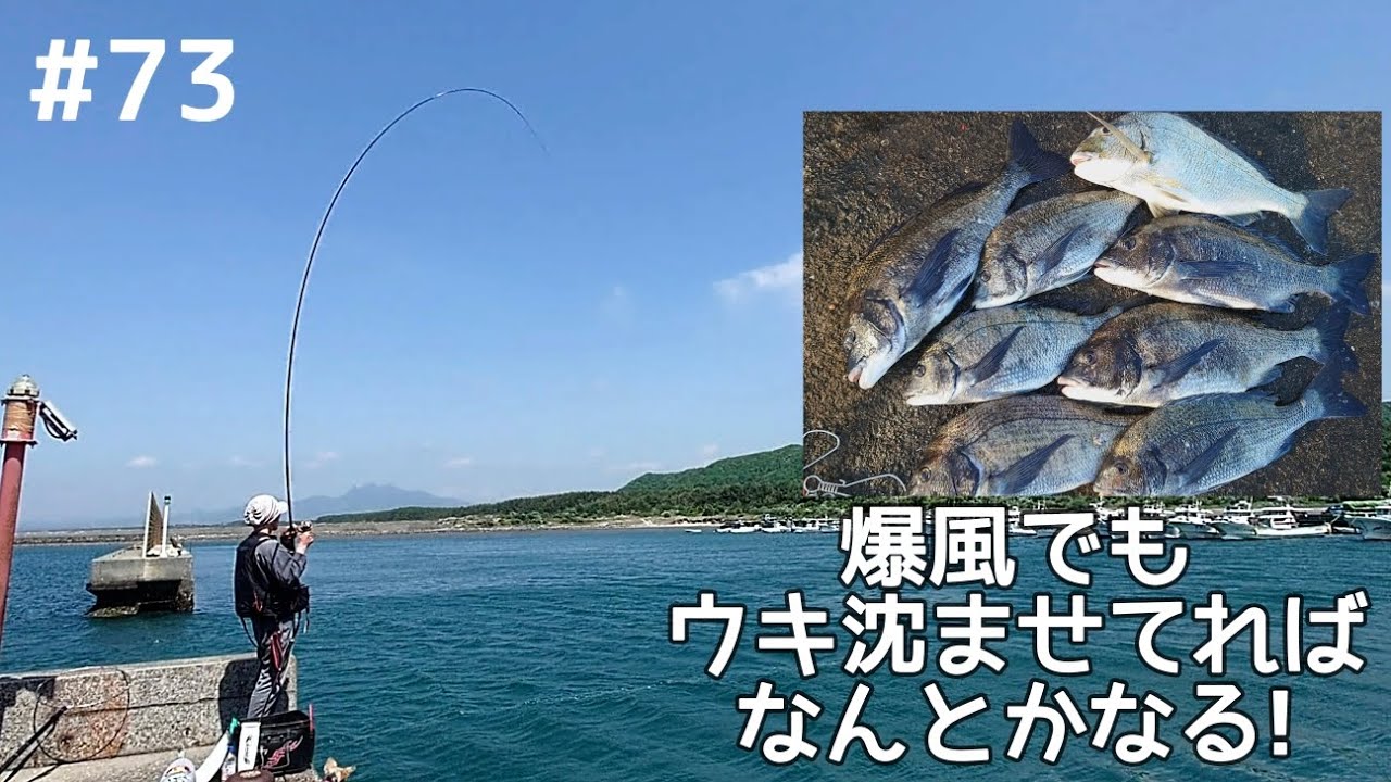 73話　爆風のフカセ釣りは沈ませてればなんとかなる!