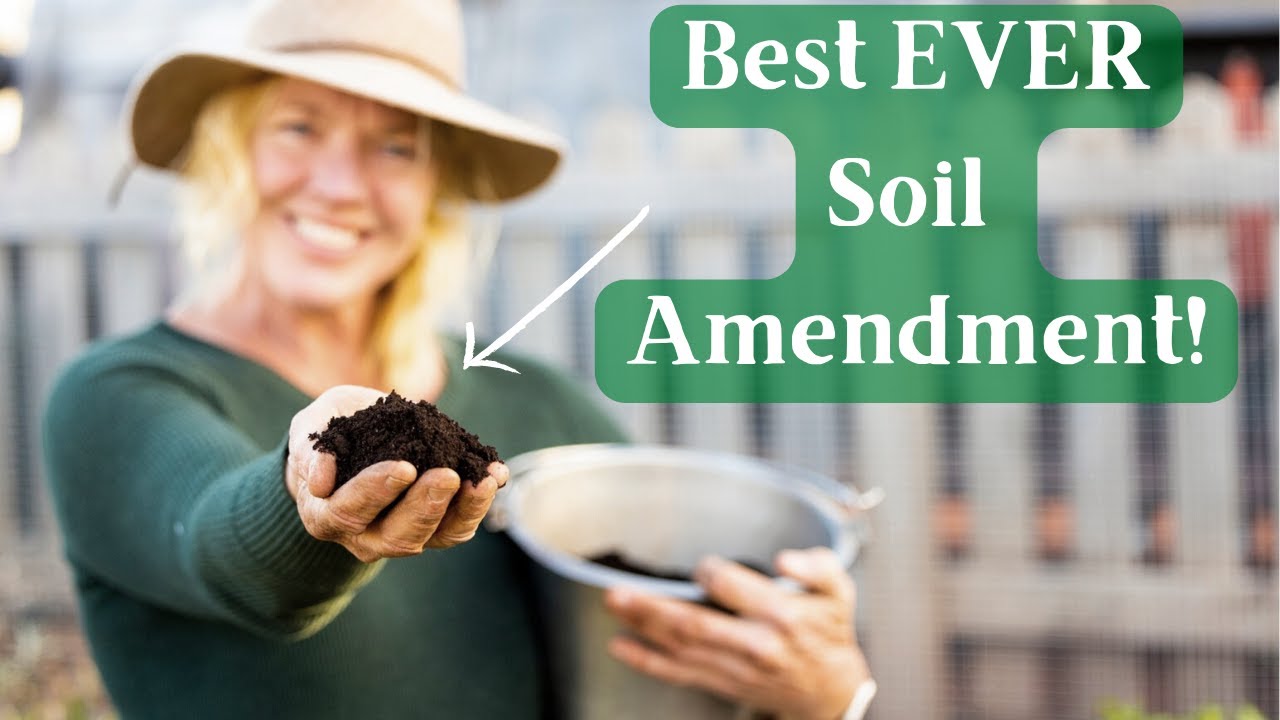How to Use Worm Castings In The Garden & Its Benefits