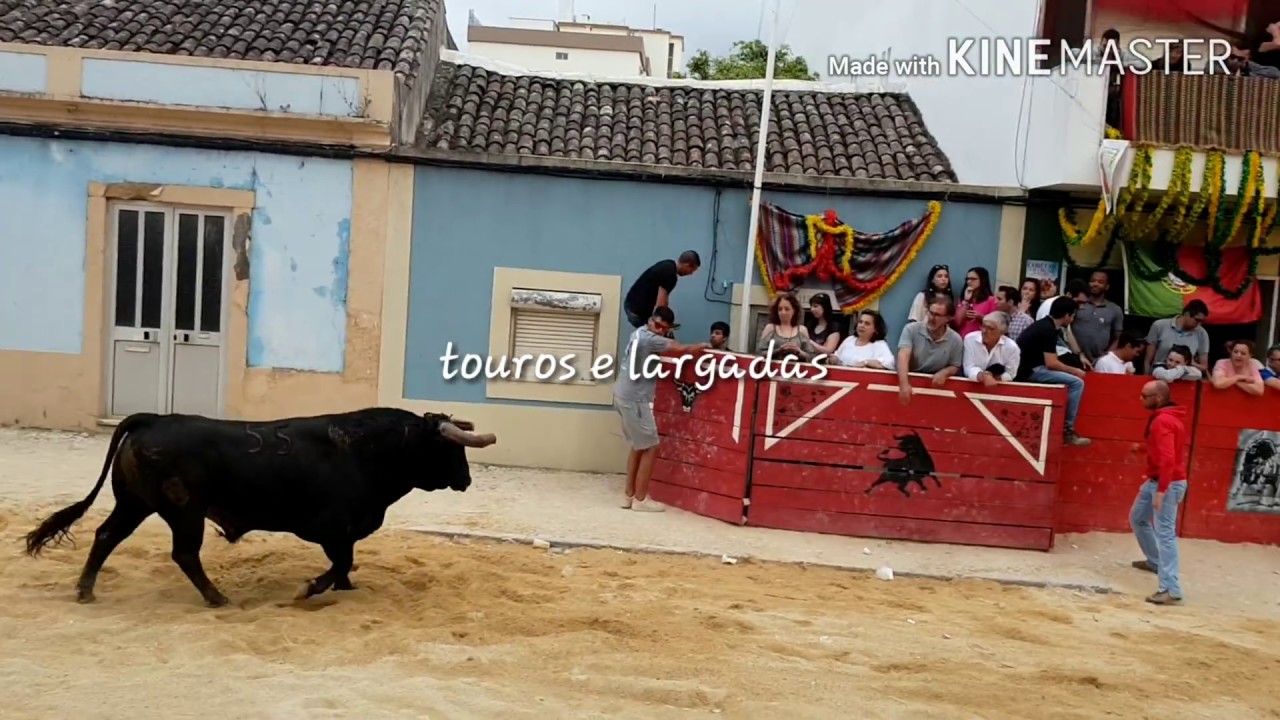 Largada Montijo 2018